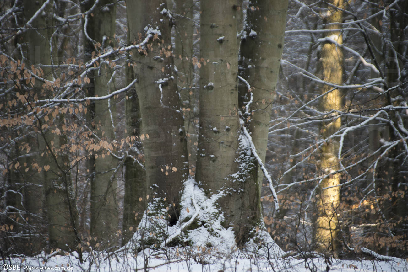 _IMG1704